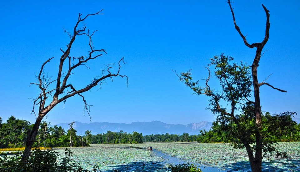 सुन्दरताको घुम्टोभित्र लुकेको कैलाली