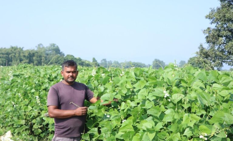 तरकारीखेतीबाट वार्षिक १० लाख बचत गर्दै महतो