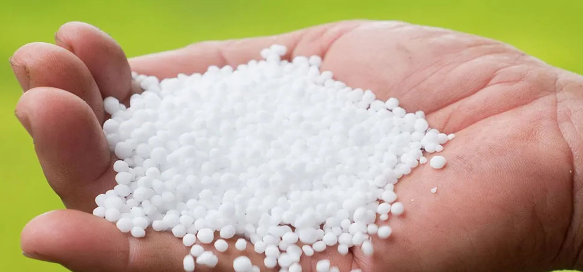 यस्तो छ रासायनिक मल आयातको अवस्था