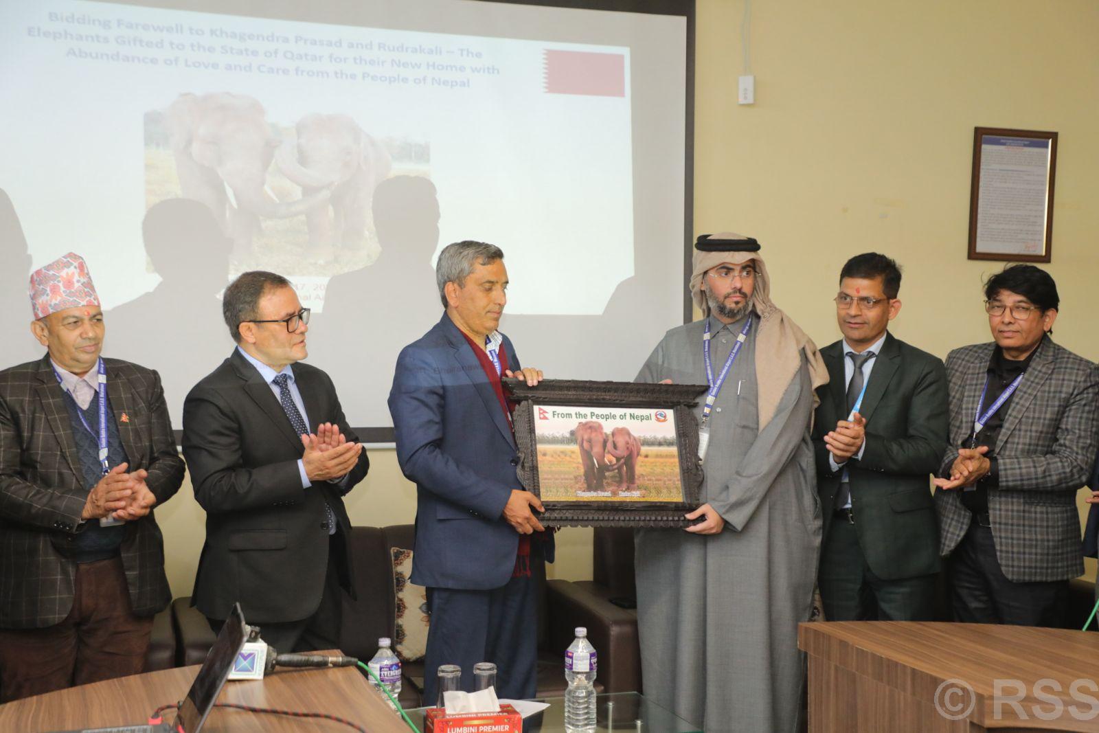 कतार उडे खगेन्द्रप्रसाद र रुद्रकली