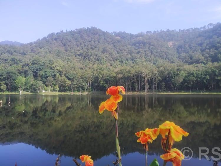 आहा ! आलिताल