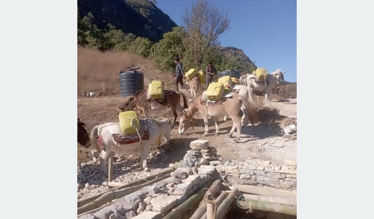 खच्चडलाई पानी बोकाएर खानेपानी ट्याङ्की निर्माण गरिँदै