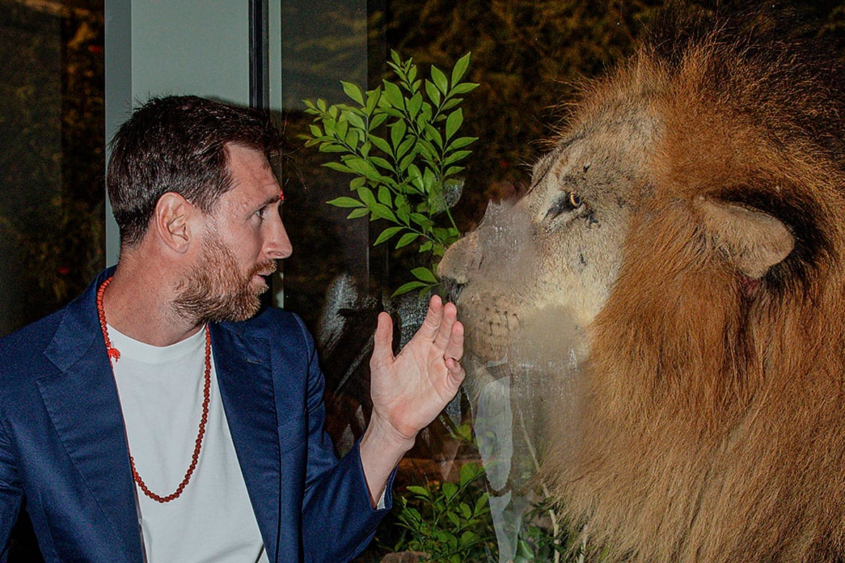 मेस्सीसँग भेटेपछि सिंहको बच्चाको नाम उनकै नामबाट ‘लियोनेल’ राखियो