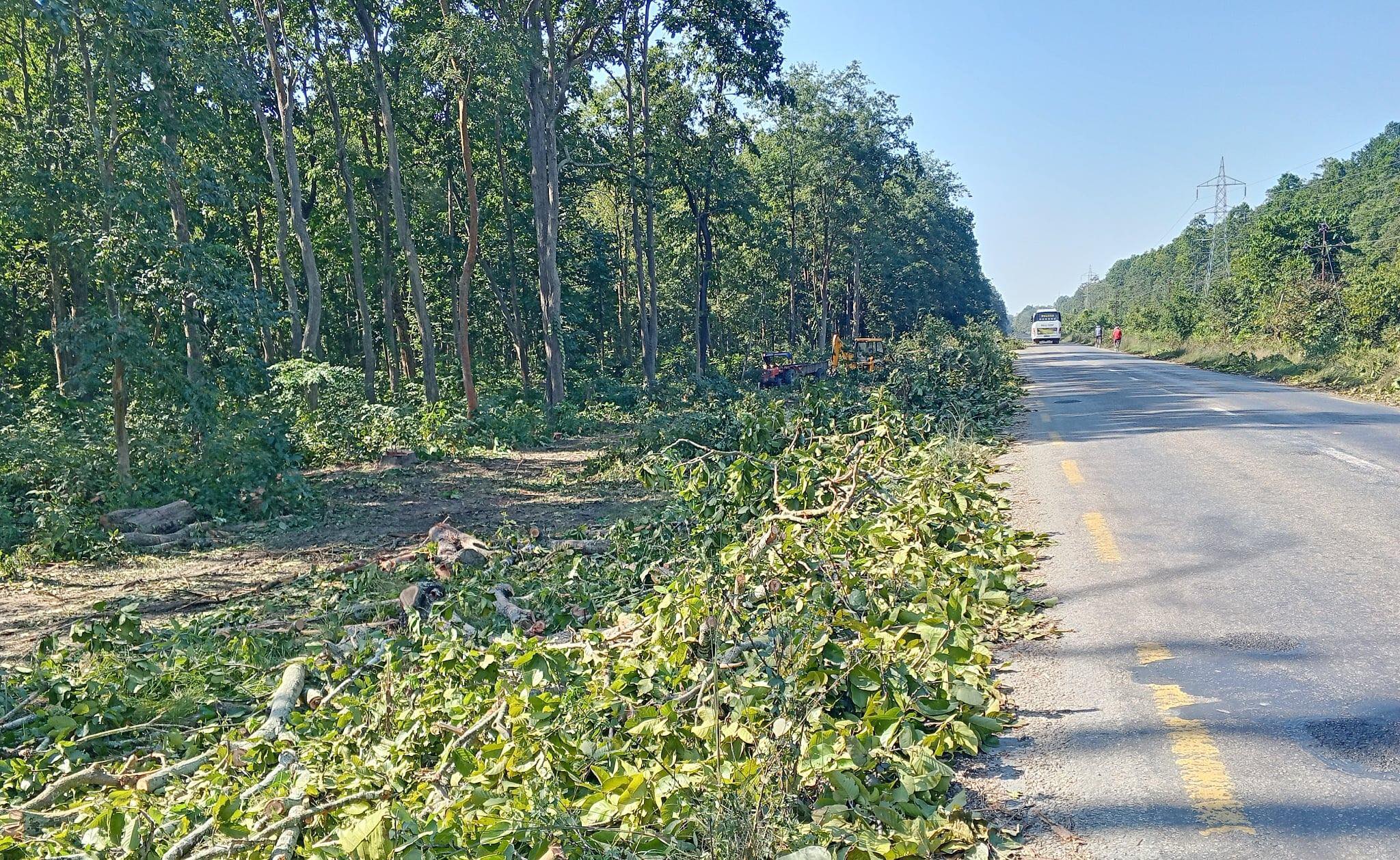 पूर्वपश्चिम राजमार्ग विस्तारका लागि तीन जिल्लामा साँढे एघार हजार रुख काटिने