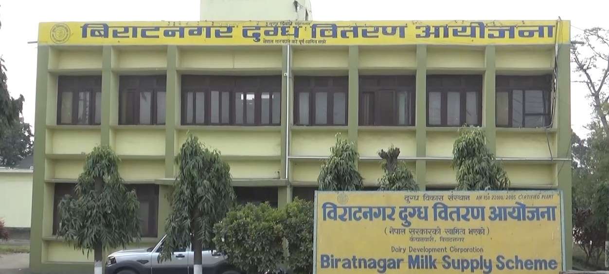 विराटनगर दुग्ध वितरणले पुन: सुरु गर्‍यो पाउडर दूध उत्पादन