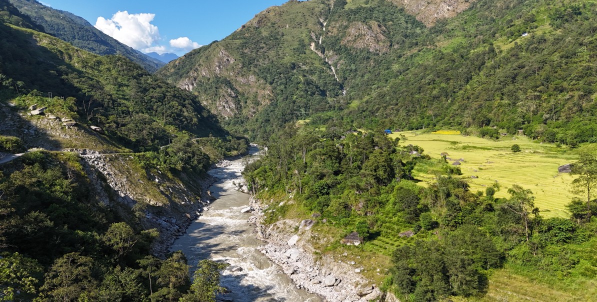 माथिल्लो अरुण आयोजना निर्माणका लागि दुई हजार बढी रुख काटियो