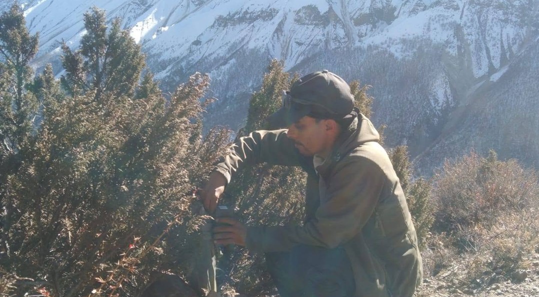 मनाङमा हिउँ चितुवा सर्वेक्षण : ङिस्याङ, नारफू र तिलिचो आसपासका क्षेत्र बासस्थान