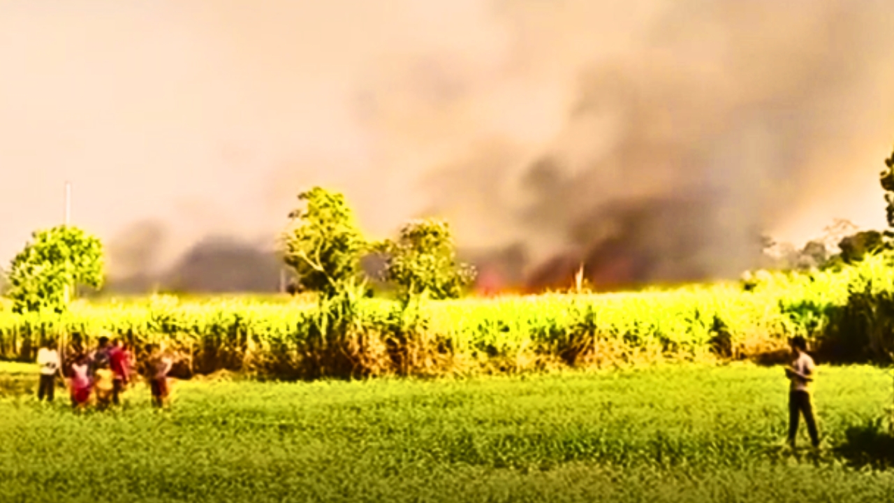 सर्लाहीको उखु खेतीमा भीषण आगलागी