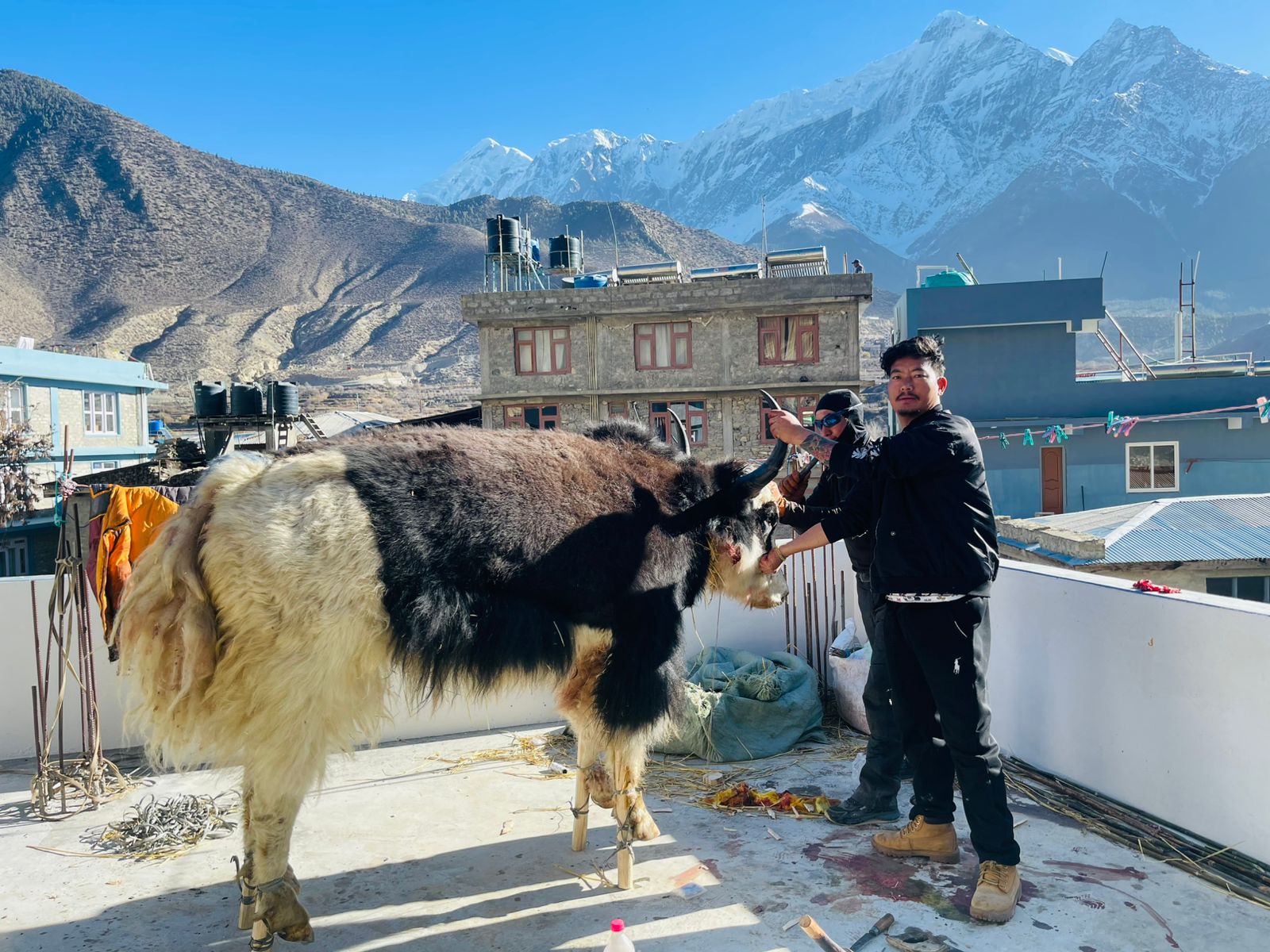 याकका डमि बनाउँदै शोलुखुम्बुका कालीगढ