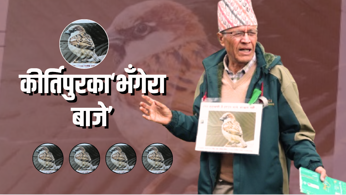 भँगेरा संरक्षणका अगुवा ध्रुव बस्नेत : घर–घरमा ‘चख्खुप्वाः’ पुनर्जीवनको अभियान