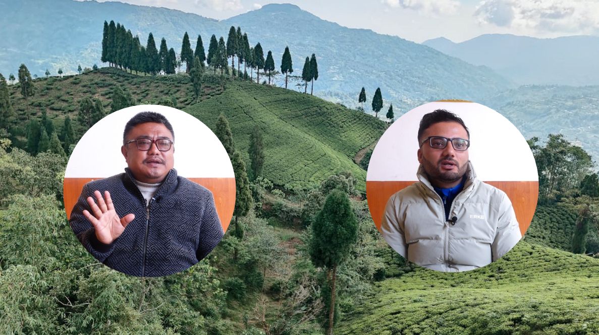 चिया निर्यात कार्यविधिविरुद्ध चिया उद्योगी चिन्तित : हजारौं किसान र मजदुर जोखिममा