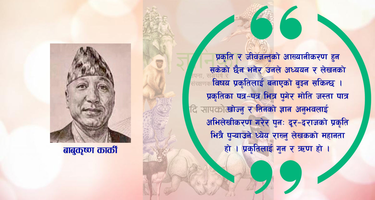 ज्ञानभण्डार ज्ञानिका