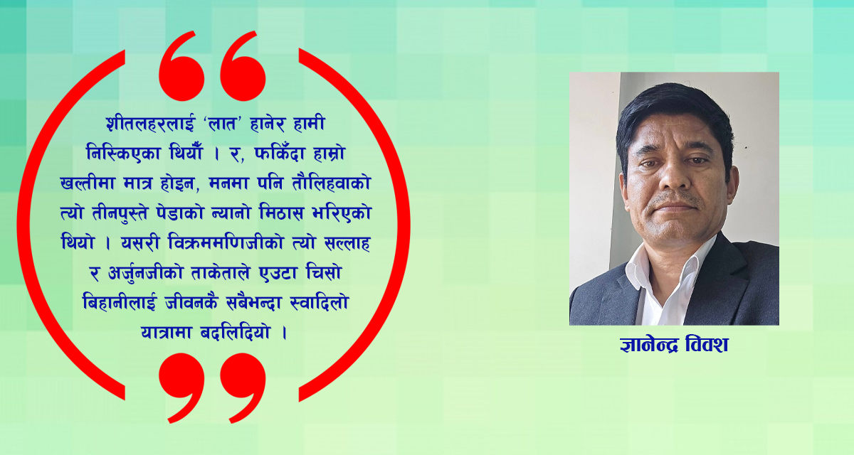 शीतलहरको बीचमा पेडाको स्वाद