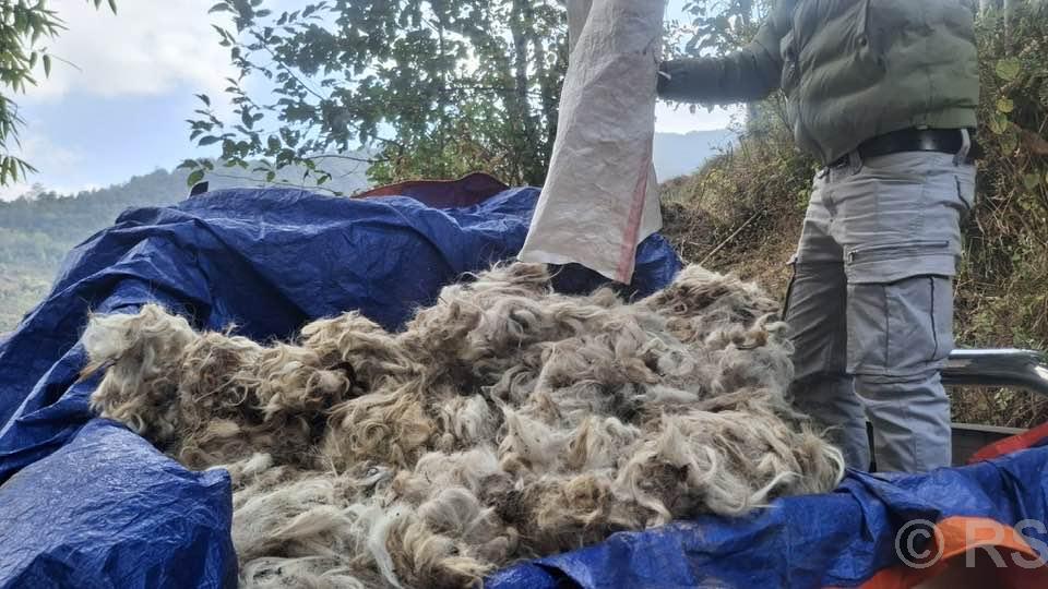 परम्परागत सीपको संरक्षण गर्न टेम्केमैयुङमा राडीपाखी बुन्ने तालिम