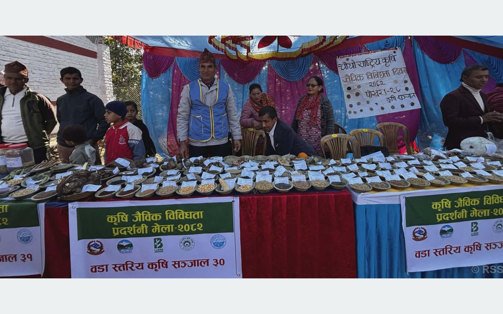 एकै थलोमा तीन सय ५० रैथाने कृषि प्रजातिको प्रदर्शन