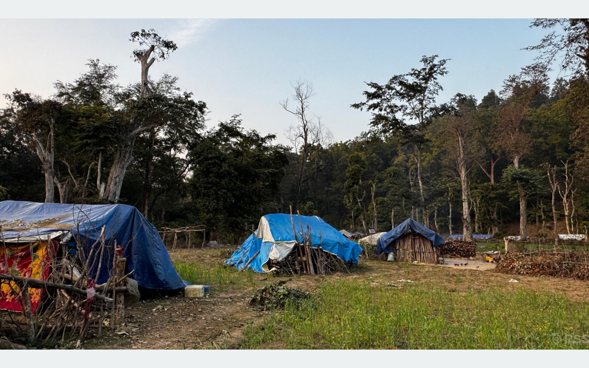 जङ्गलमा बास, जोखिमपूर्ण जीवन
