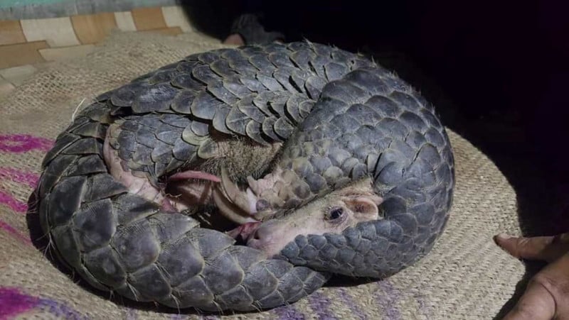 सालक जोगाउन माढीमा राष्ट्रिय सम्मेलन