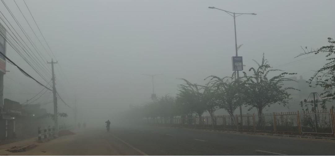बाक्लो हुस्सु र कुहिरोले पश्चिम तराईको जनजीवन प्रभावित