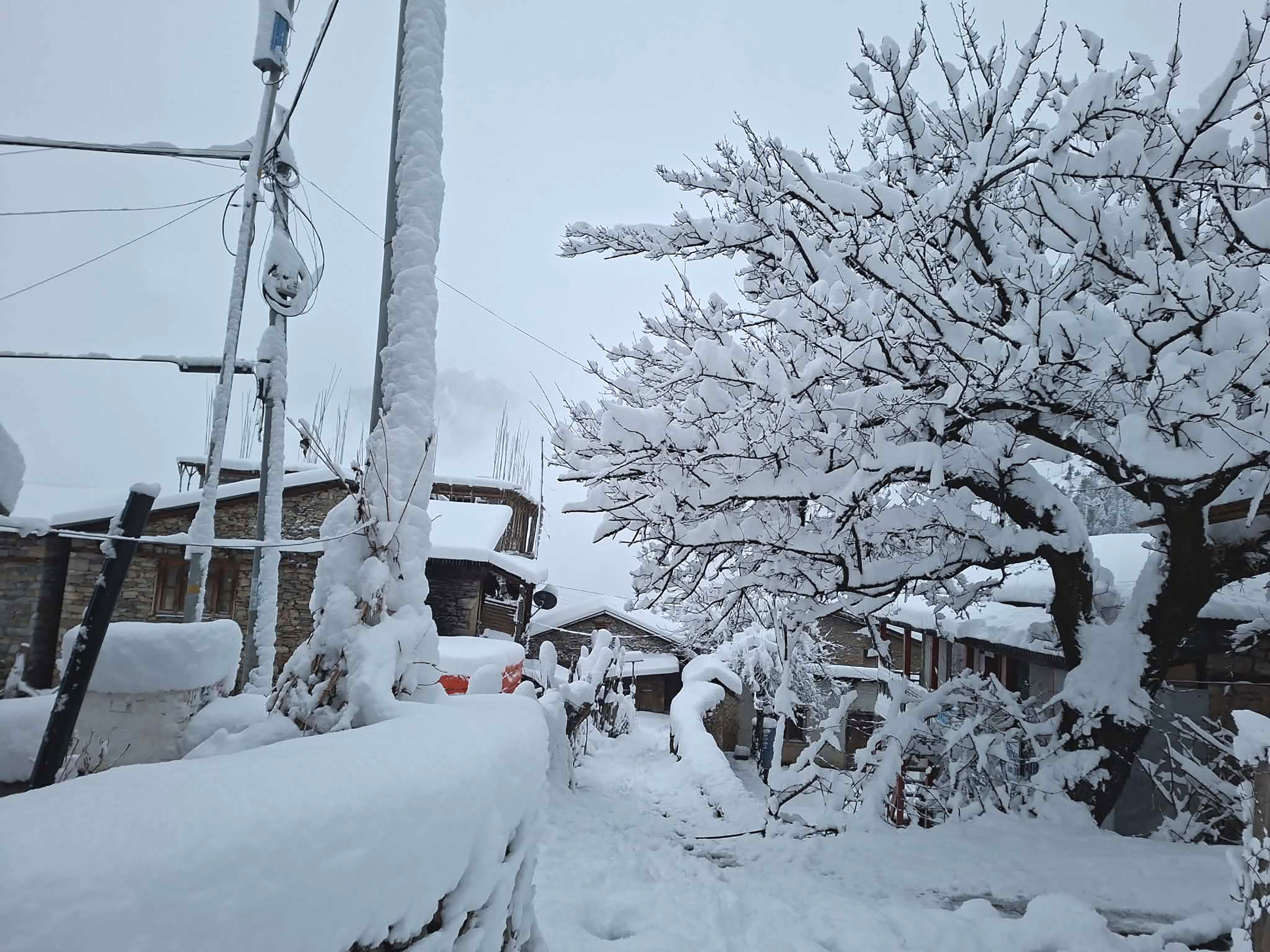 मुस्ताङ, हुम्ला र बाजुरामा वर्षासँगै भारी हिमपात (तस्बिरहरु)