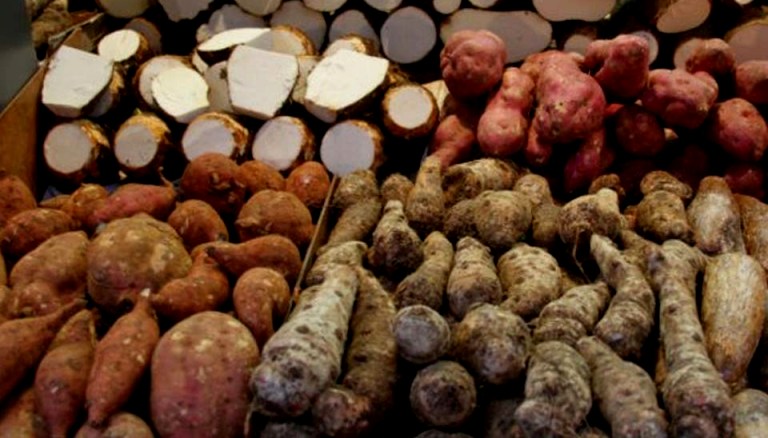 बाहुनडाँगीमा चौथो अन्तरराष्ट्रिय तरुल महोत्सव