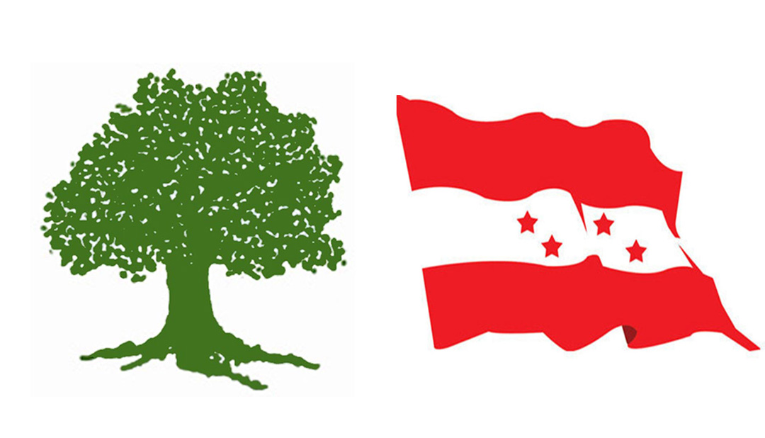 नेपाली कांग्रेस रौतहटद्वारा ‘विशेष महाधिवेशन’ अस्वीकार