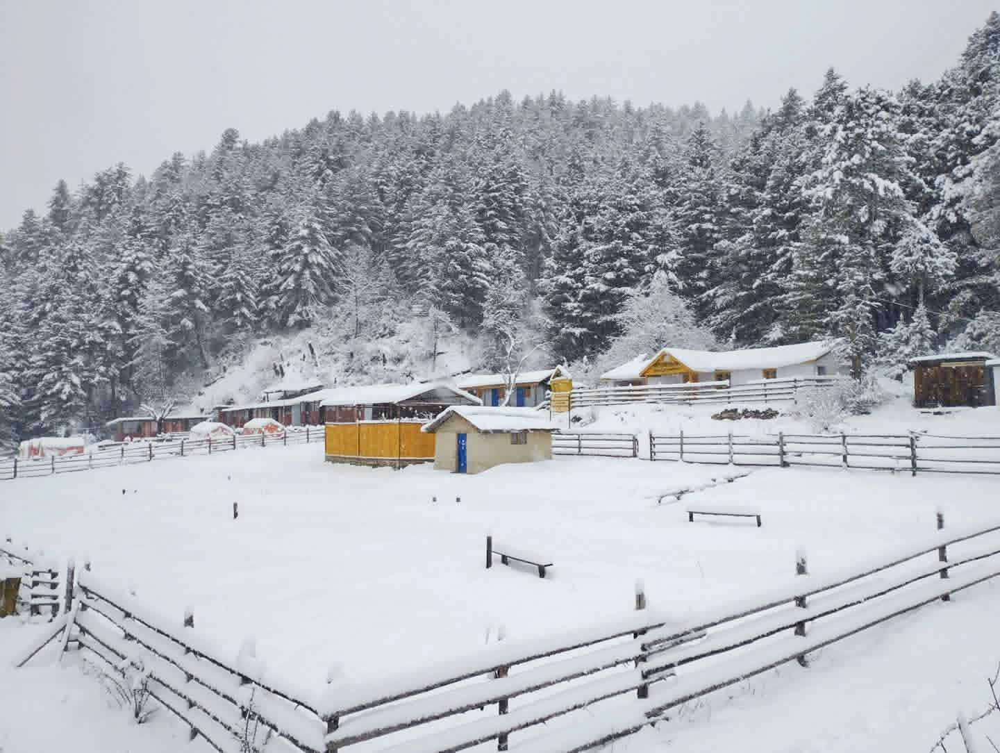मुगुको रारा र आसपासको क्षेत्र हिमपातपछि सेताम्मे (तस्बिरहरु)