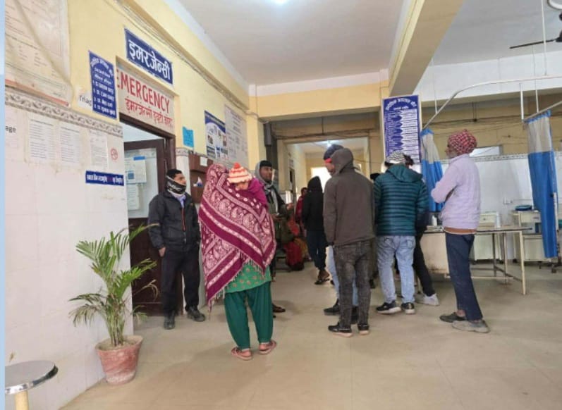 रौतहटमा कुकुरले एकैदिन ५० भन्दा बढीलाई टोक्यो, स्थानीय त्रसित