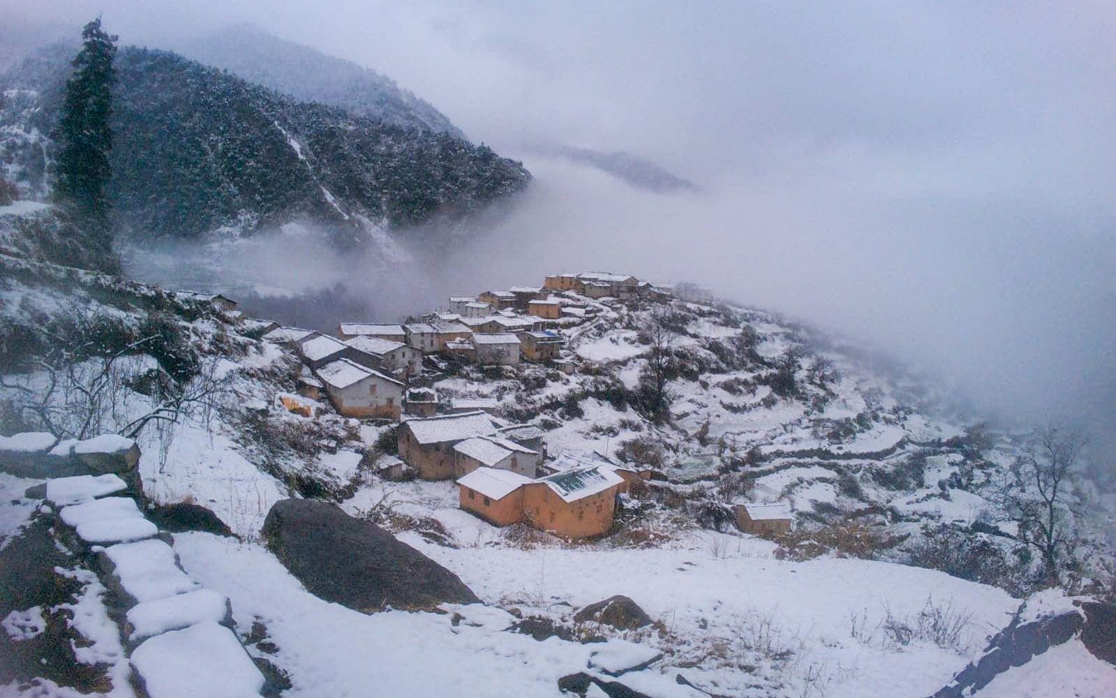 हिउँले सेताम्य बाजुरा (तस्बिरहरू)