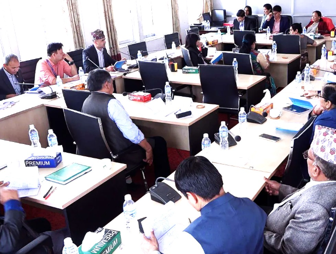 आज दुई संसदीय समितिको बैठक बस्दै