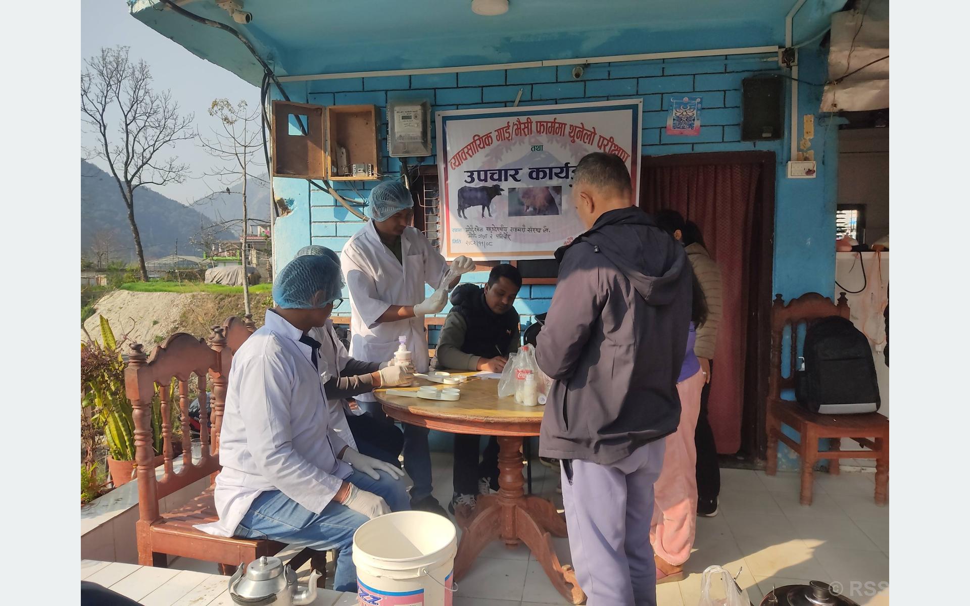 गाईभैँसीमा थुनेलो रोग