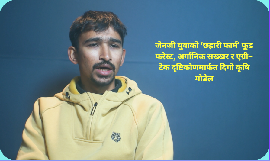सिन्धुलीमा जेनजी युवाको कृषि क्रान्तिः ‘छहारी फार्म’बाट फूड फरेस्ट र अर्गानिक सख्खर
