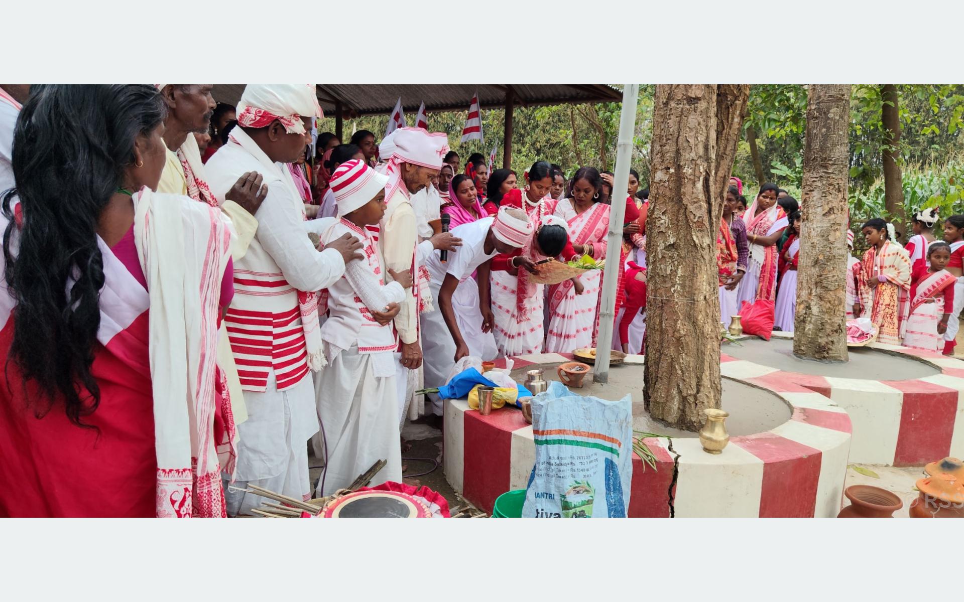 उराँव समुदायले मनाए सरहुल पर्व