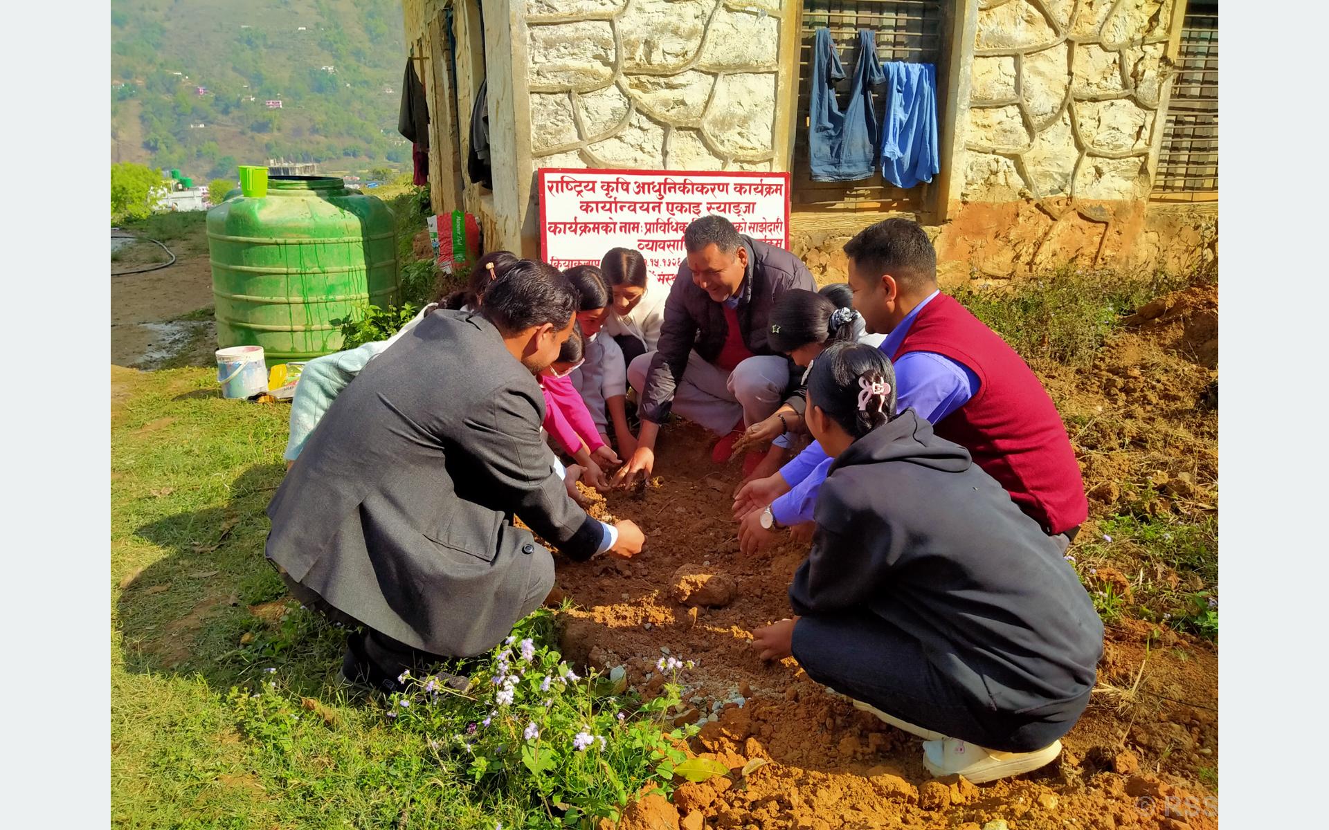 सामुदायिक विद्यालयद्वारा दश रोपनीमा केरा खेती