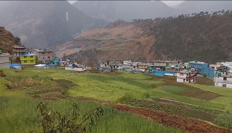 बाजुरामा हावाहुरी र असिना पानी, गहुँबालीमा क्षती