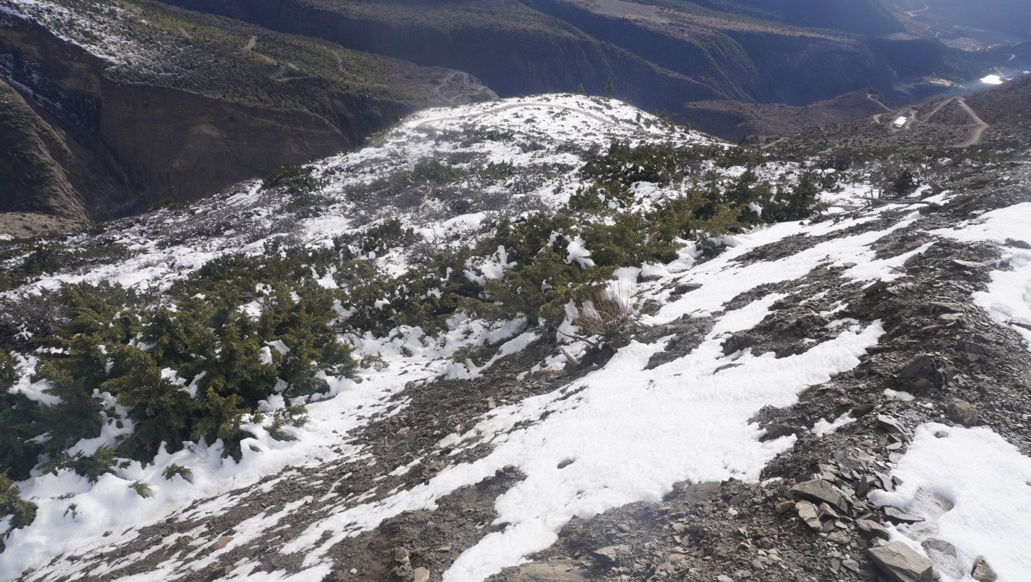 हिमपातले मुस्ताङका किसानलाई राहत