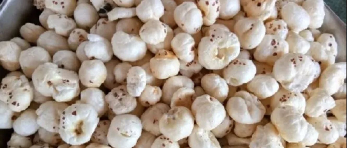 झापाको कचनकवलमा मखनाखेती