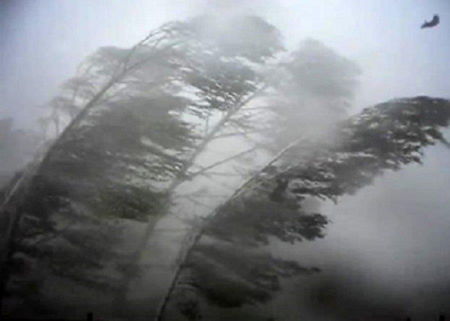 आज तीव्र हावाहुरी चल्ने, अति आवश्यक नपरी घर बाहिर ननिस्कन आग्रह