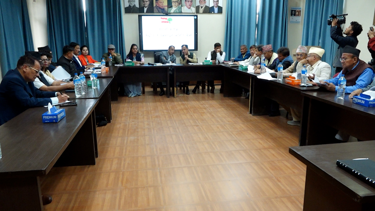 यी हुन् कांग्रेसले टुंगो लगाएका समानुपातिक उम्मेदवार