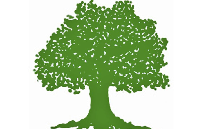 सोलुखुम्बुमा कांग्रेसका प्रकाश सिंह कार्की विजयी