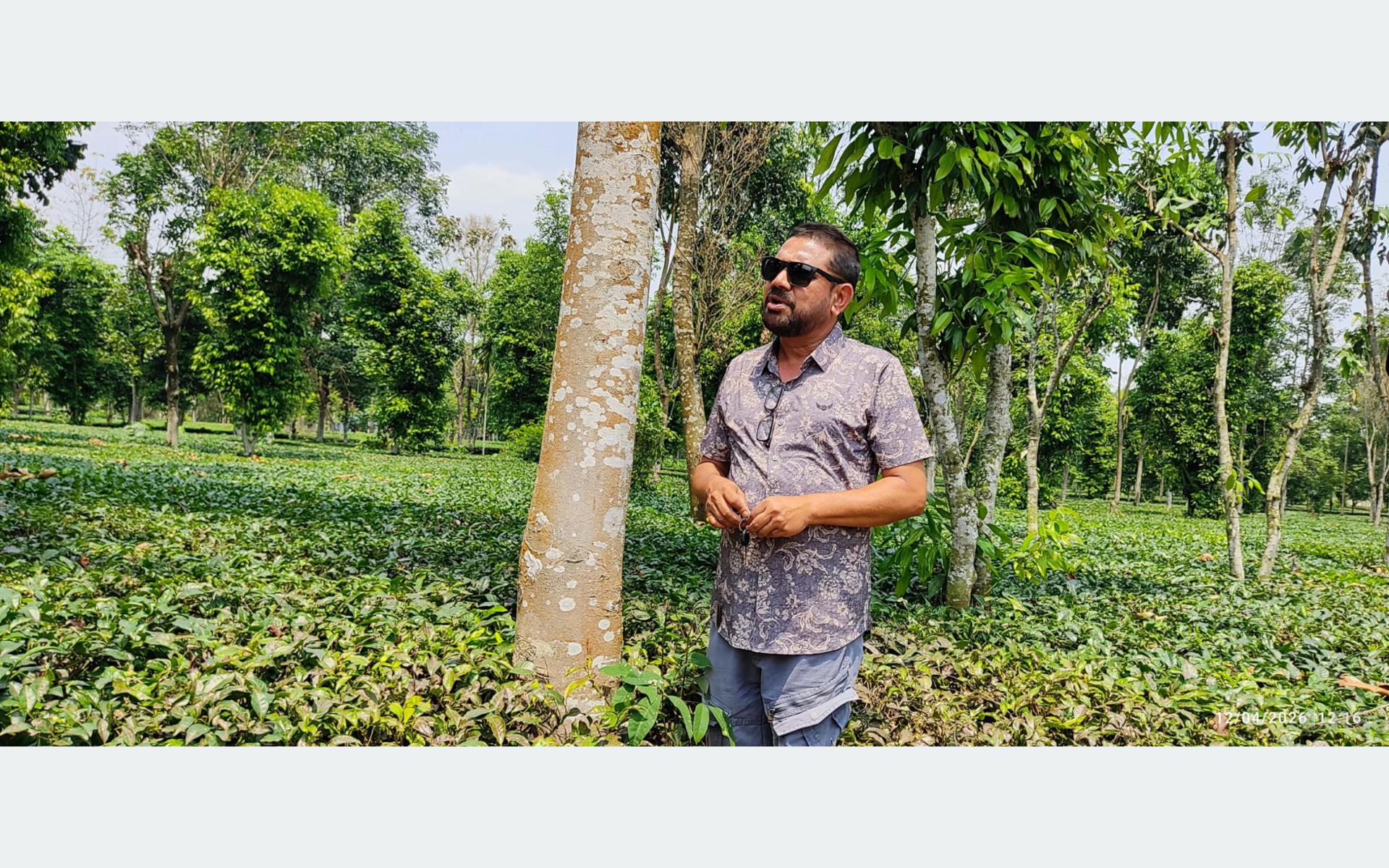 रबिको ‘मिश्रित खेती’मा २७ प्रजातिका नगदेबाली