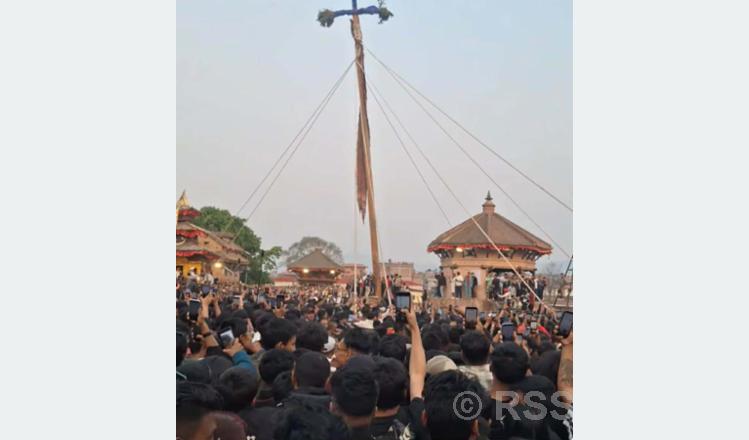 पचपन्न हाते लामो लिङ्गो ढाल्ने जात्रा सम्पन्न