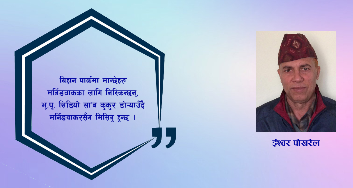 कविता : सम्पादन कक्षबाट गायब एउटा चित्र