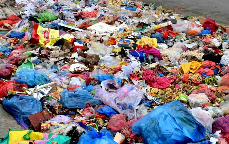 फोहरबाट मोहरः व्यासले कमायो १७ लाख