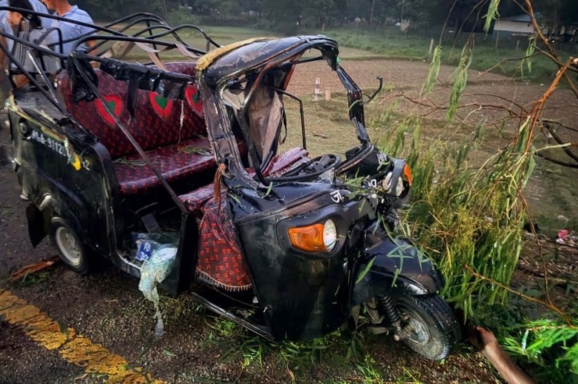 ट्याम्पोमाथि रुख खस्दा दुई जनाको मृत्यु, तीन घाइते