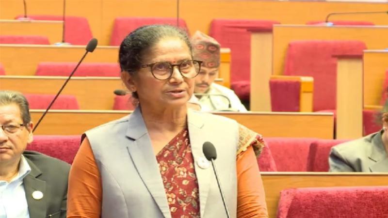 देउवा पक्षका सिटौला बाहिरिए, गगन थापा निकट कमला पन्त राष्ट्रिय सभा दलको नेता