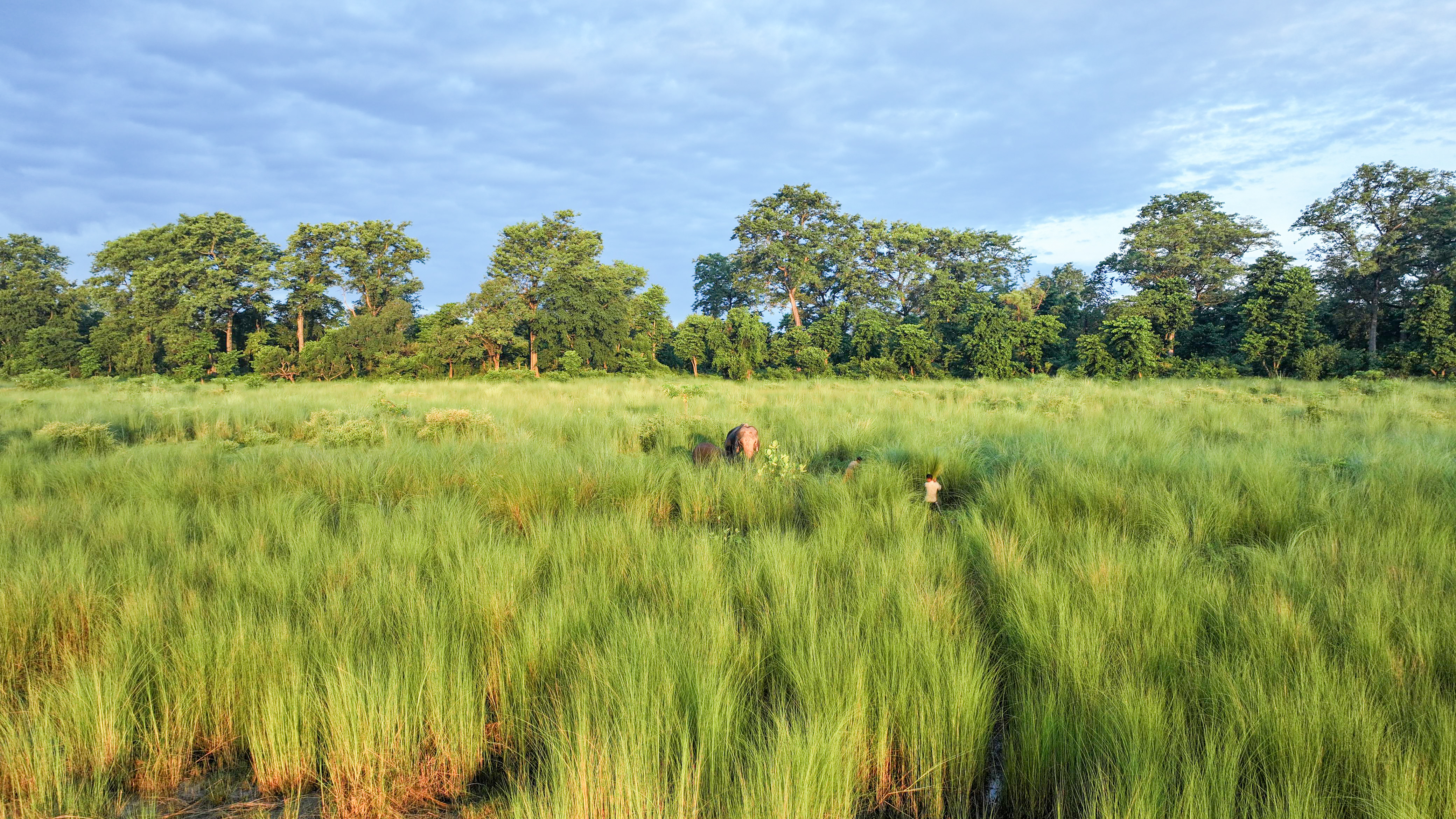विश्व पृथ्वी दिवस मनाइँदै