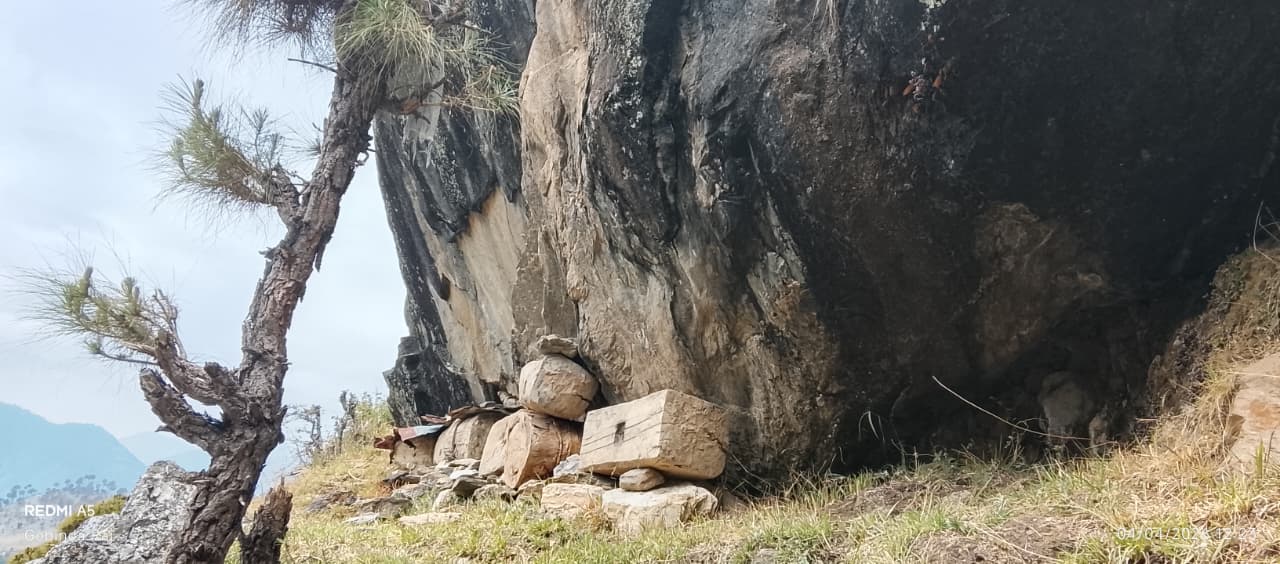 भिर पाखामा राखिएका लोपन्मुख मौरी घार (तस्बिरसहित)