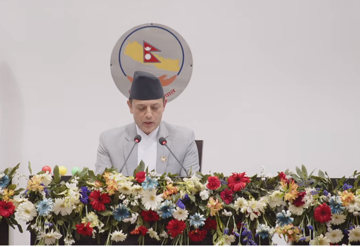 प्रतिनिधिसभाका १० विषयगत र २ संयुक्त समिति गठन