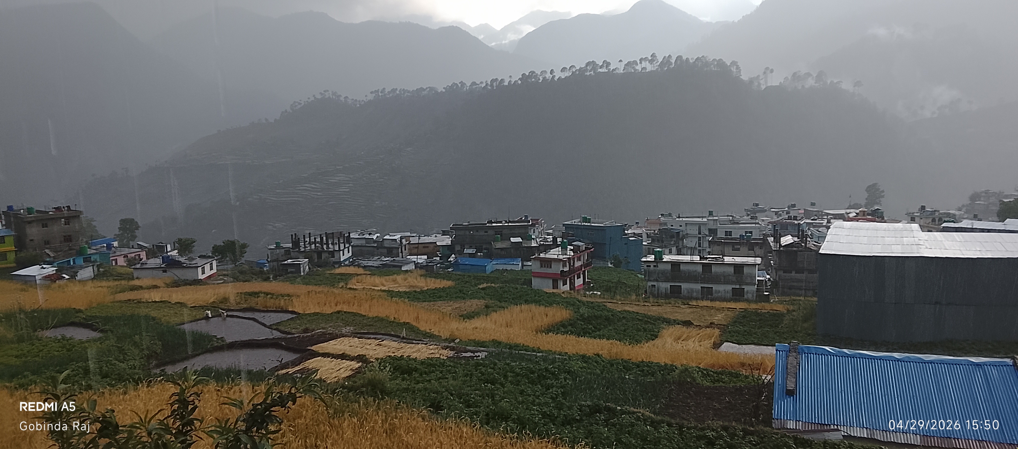 बाजुरामा हावाहुरीसहित चट्याङ र असिनापानी : पाकेको गहुँवालीमा क्षति