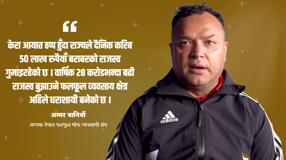 सरकारको अदूरदर्शी निर्णयले ४० प्रतिशतले बढ्यो केराको मूल्य, राज्यले गुमायो दैनिक ५० लाख राजस्व